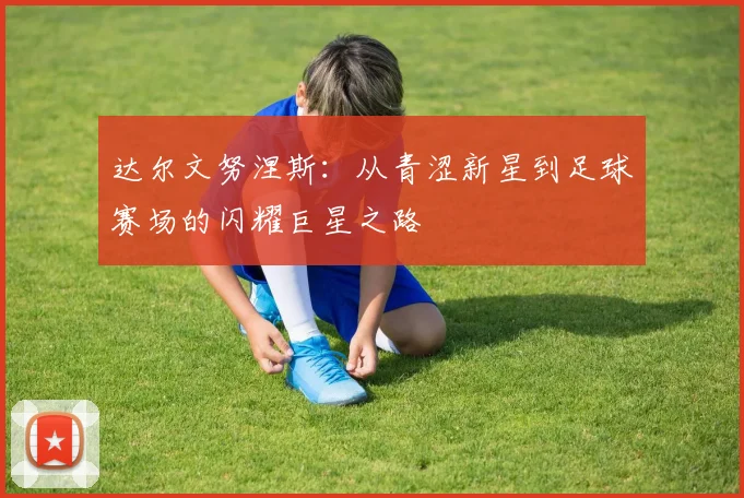 达尔文努涅斯：从青涩新星到足球赛场的闪耀巨星之路