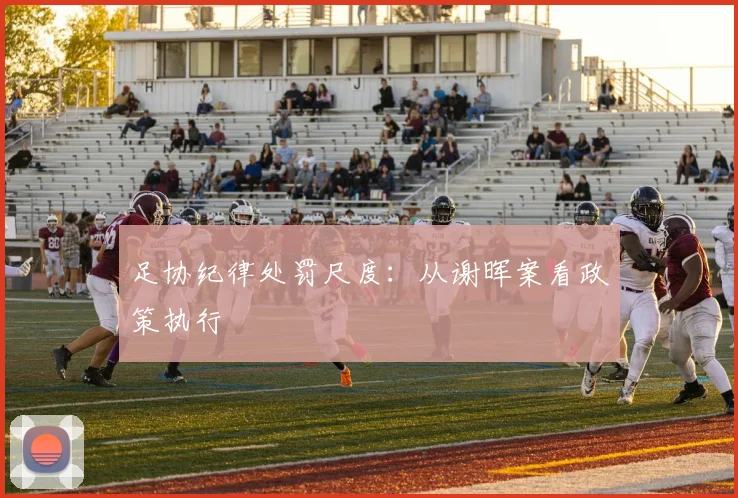 足协纪律处罚尺度：从谢晖案看政策执行