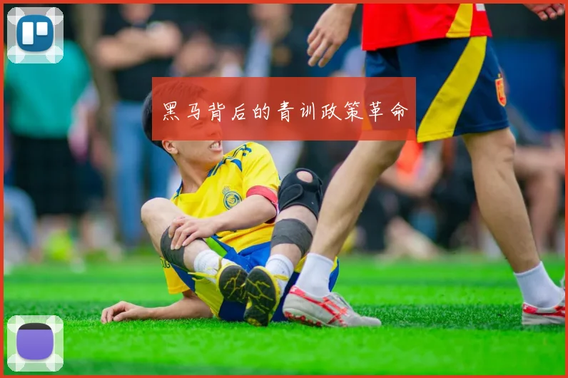 黑马背后的青训政策革命