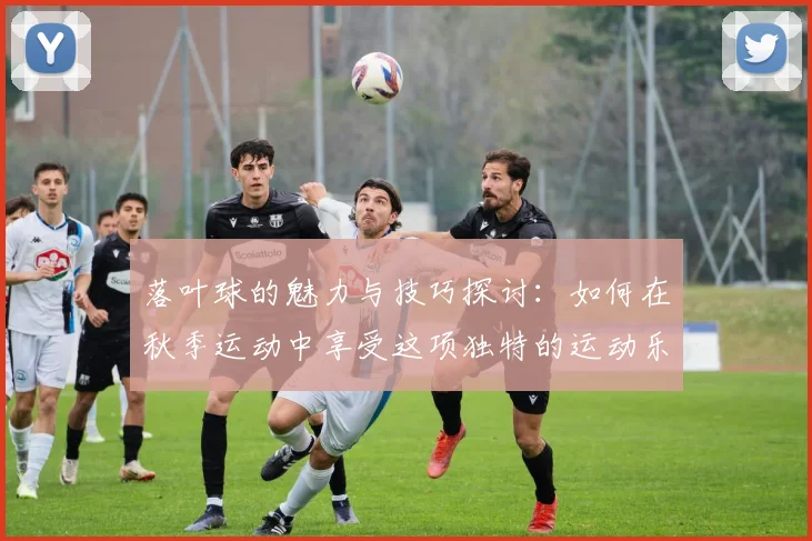 落叶球的魅力与技巧探讨：如何在秋季运动中享受这项独特的运动乐趣
