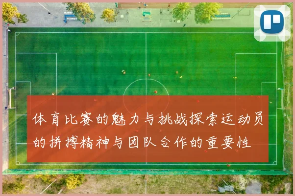 体育比赛的魅力与挑战探索运动员的拼搏精神与团队合作的重要性